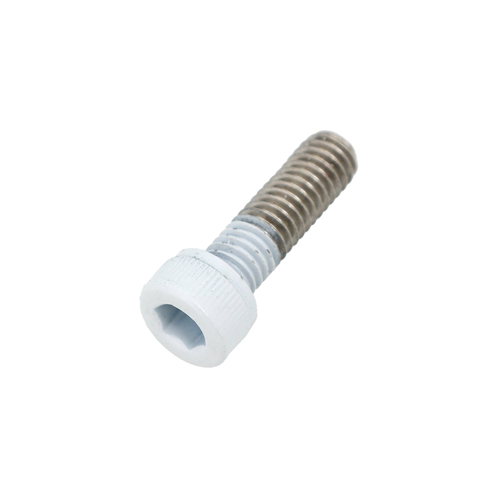 Socket Head Screw White M6x1.00x20