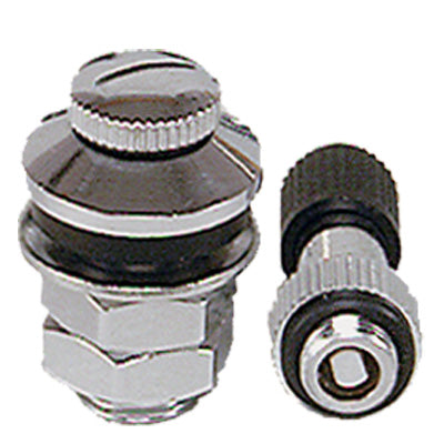 Flush Mount Valve (PKG/2) (65 PSI max. cold inflation pressure)