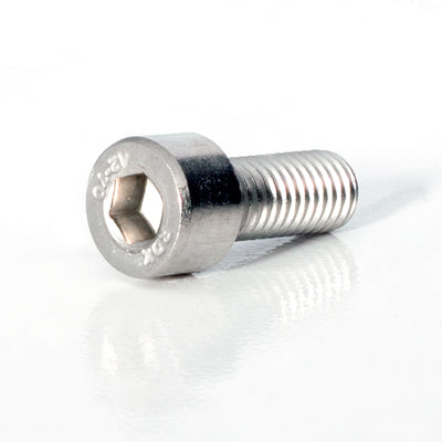 Socket Head Screw SS M8x1.25x20